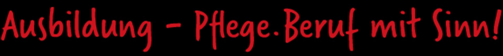 Schriftzug_Ausbildung_Beruf mit Sinn_lang