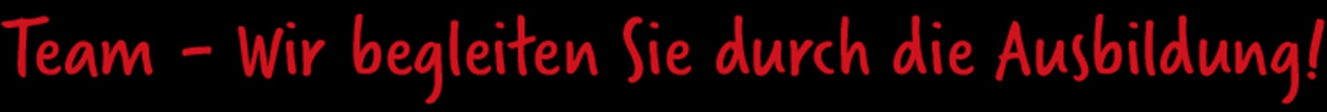Schriftzug_Team_wir begleiten Sie_lang