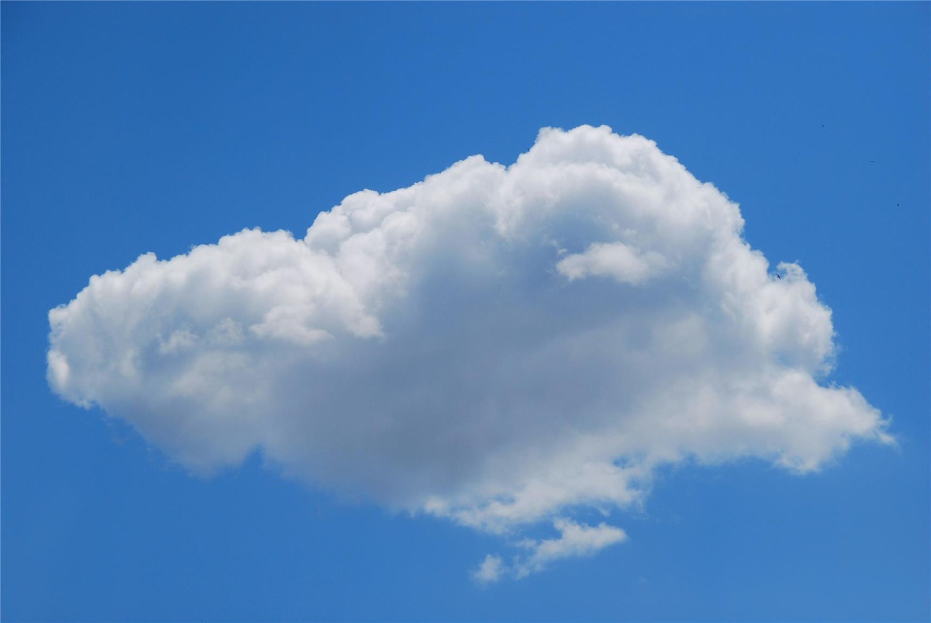 eine weiße Haufenwolke auf blauem Himmel