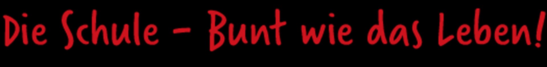 Schriftzug_Schule_Bunt wie das Leben_lang
